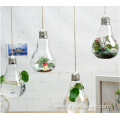 Small Hanging Clear Glass Teardrop Vase Irregular Terrarium